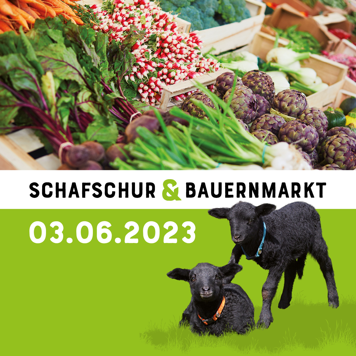 Schafschur und Bauernmarkt